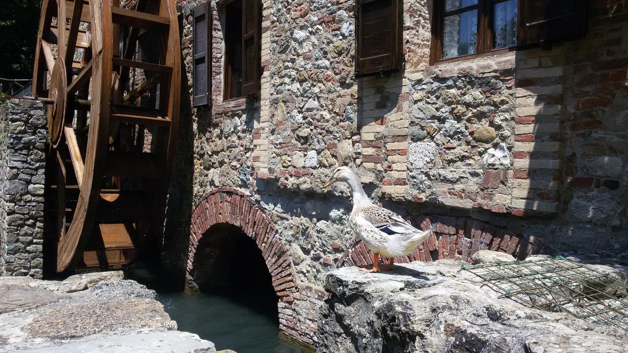 Agriturismo Il Mulino Delle Pile Chiusdino Kültér fotó