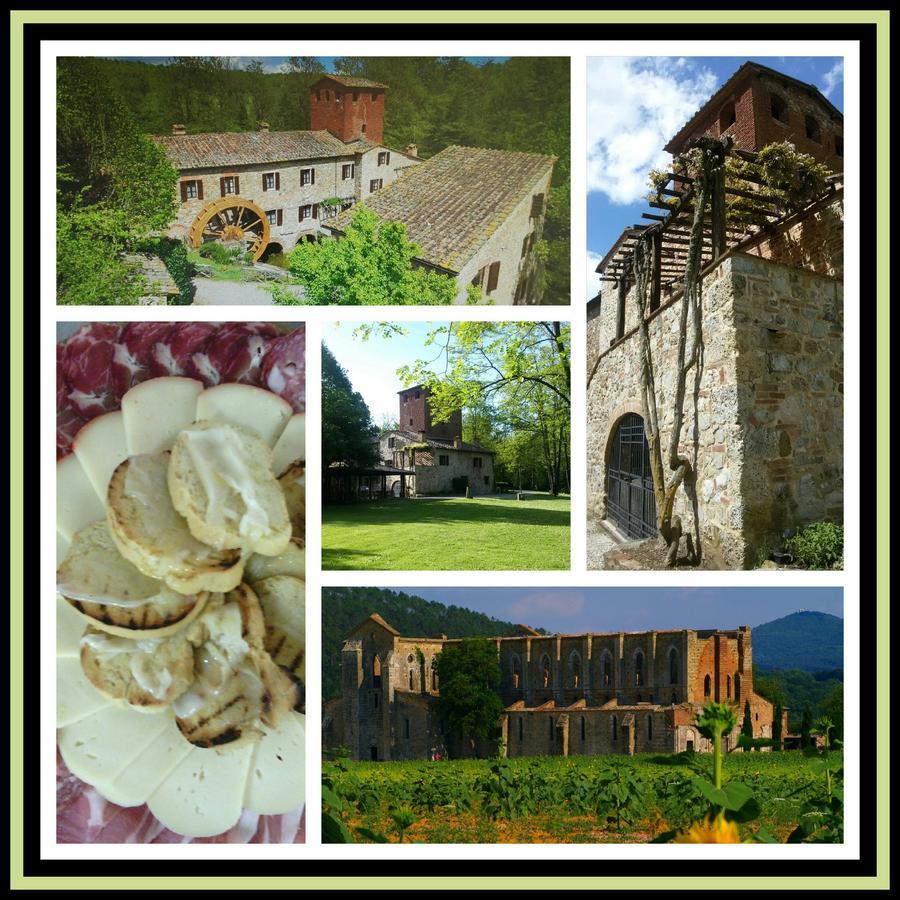 Agriturismo Il Mulino Delle Pile Chiusdino Kültér fotó