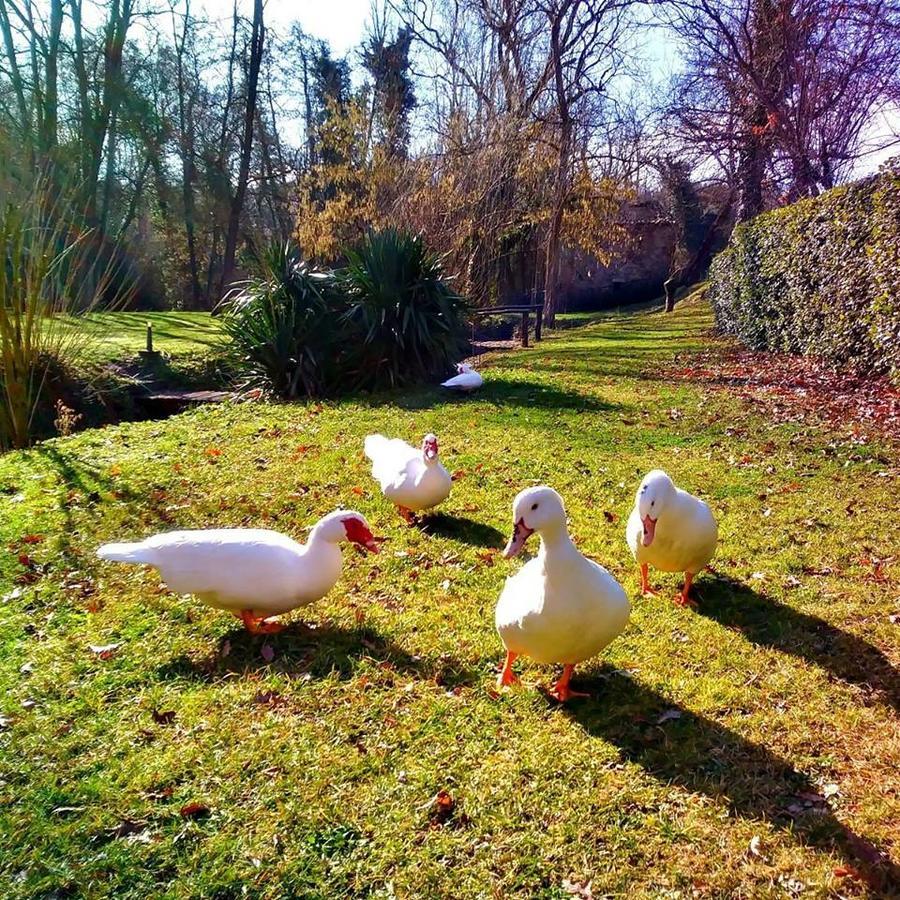 Agriturismo Il Mulino Delle Pile Chiusdino Kültér fotó