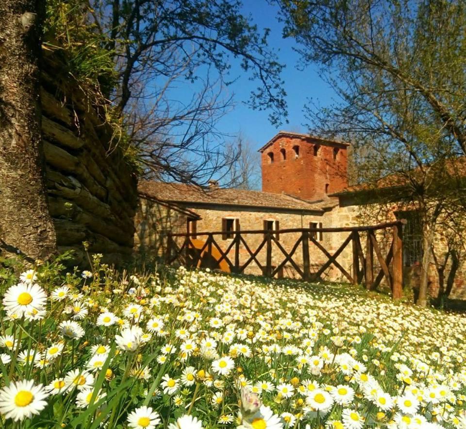 Agriturismo Il Mulino Delle Pile Chiusdino Kültér fotó