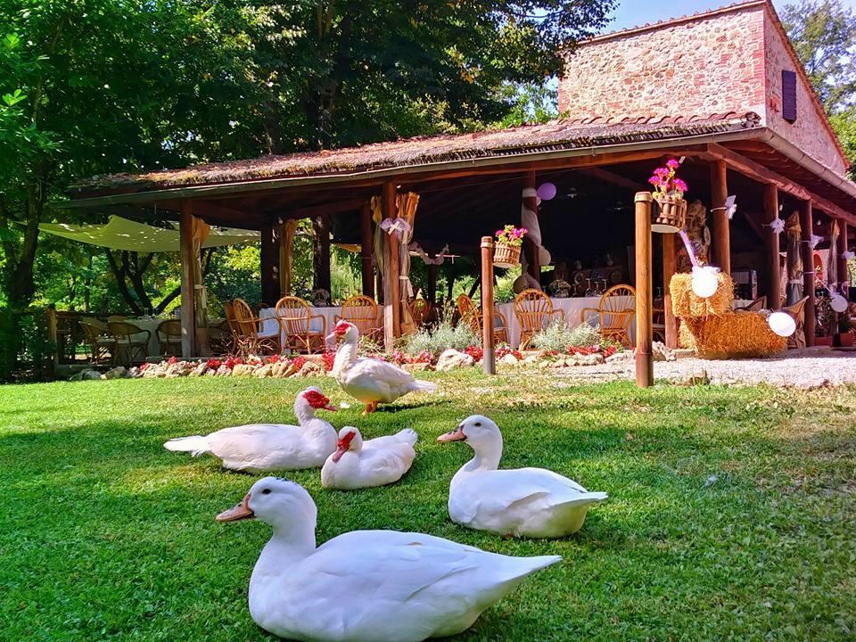 Agriturismo Il Mulino Delle Pile Chiusdino Kültér fotó