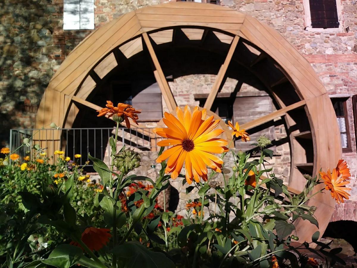 Agriturismo Il Mulino Delle Pile Chiusdino Kültér fotó