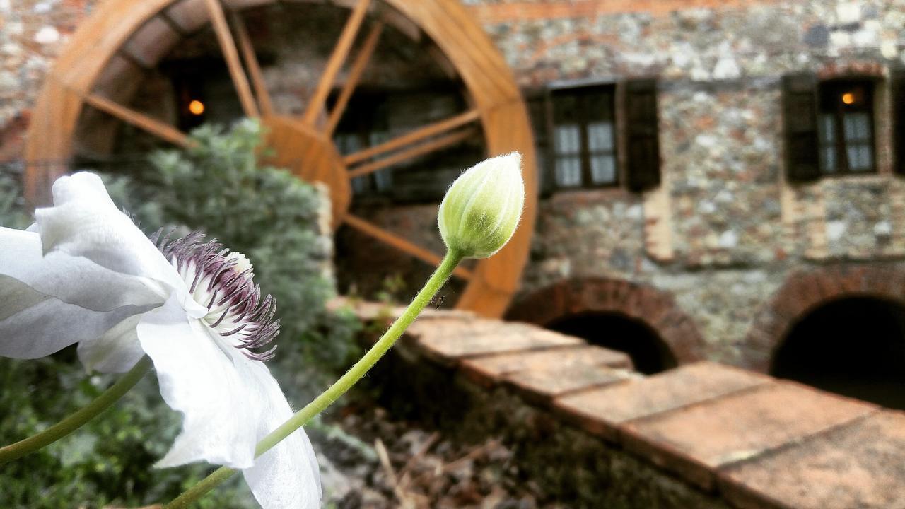 Agriturismo Il Mulino Delle Pile Chiusdino Kültér fotó
